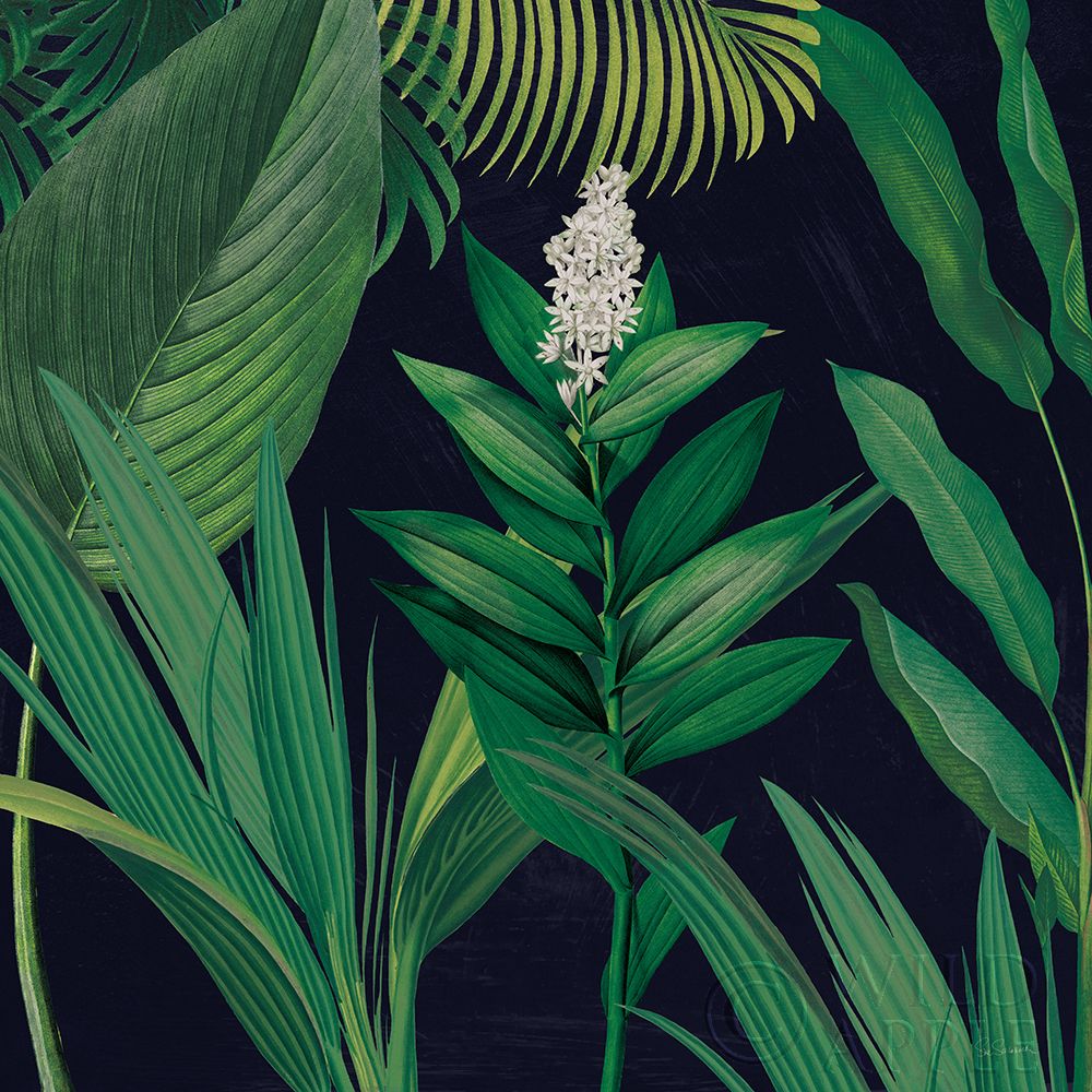 Wall Art Painting id:265106, Name: Dramatic Tropical I, Artist: Schlabach, Sue