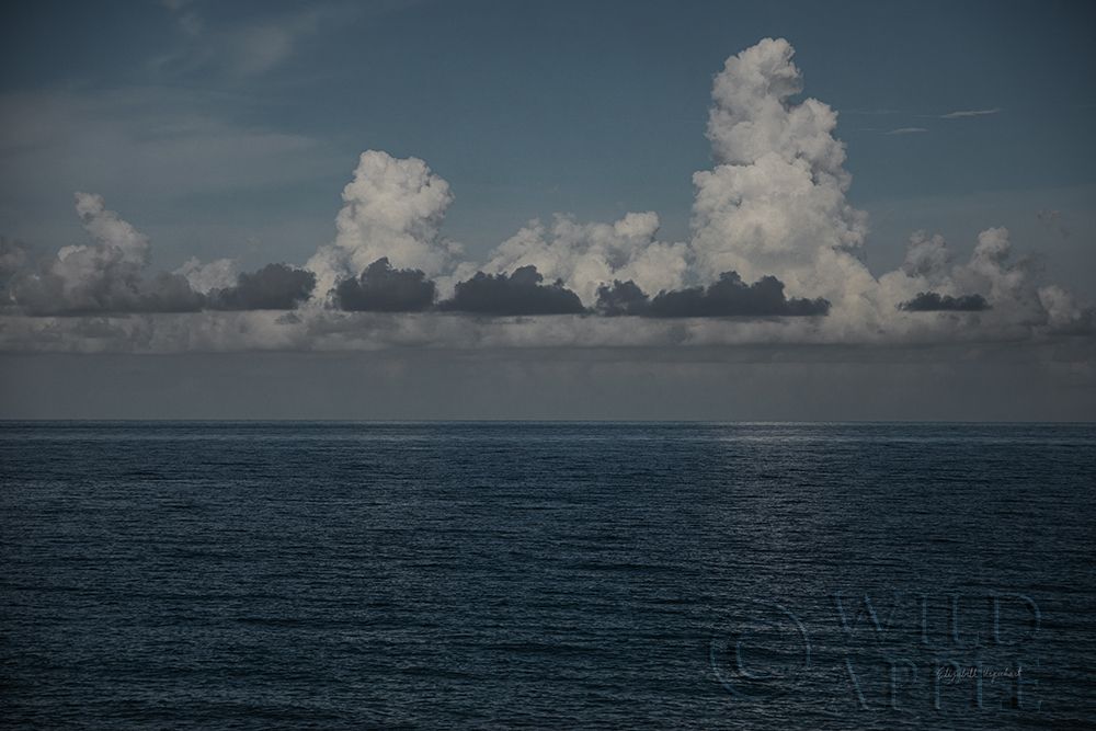 Similar wall art painting: 262045