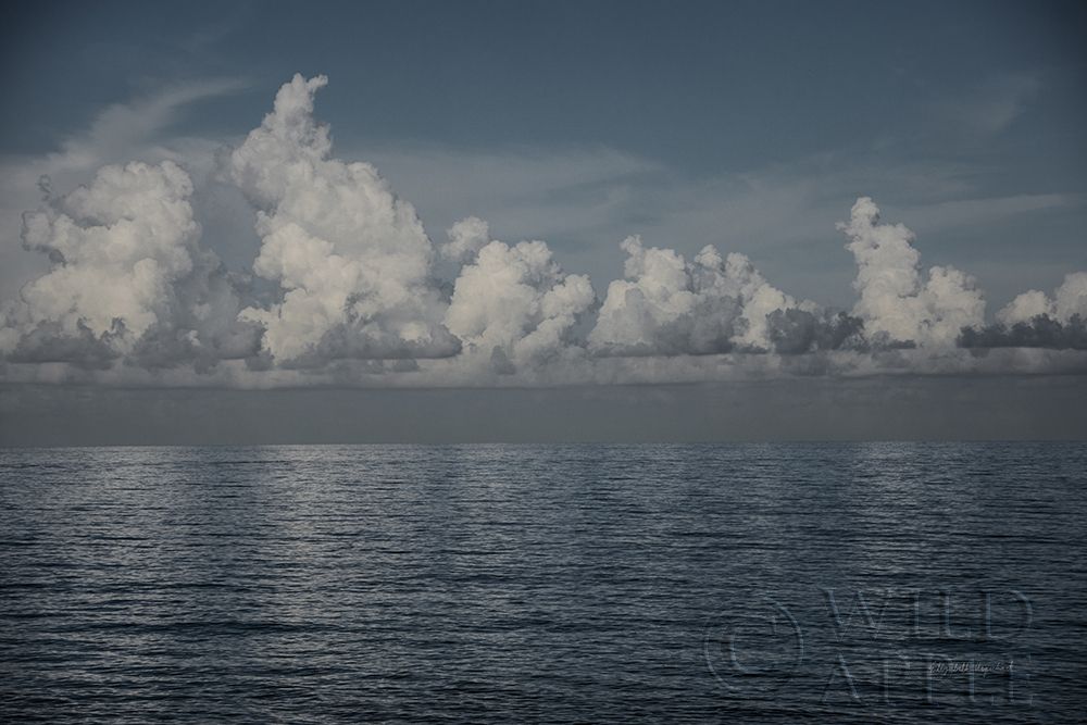 Similar wall art painting: 262046