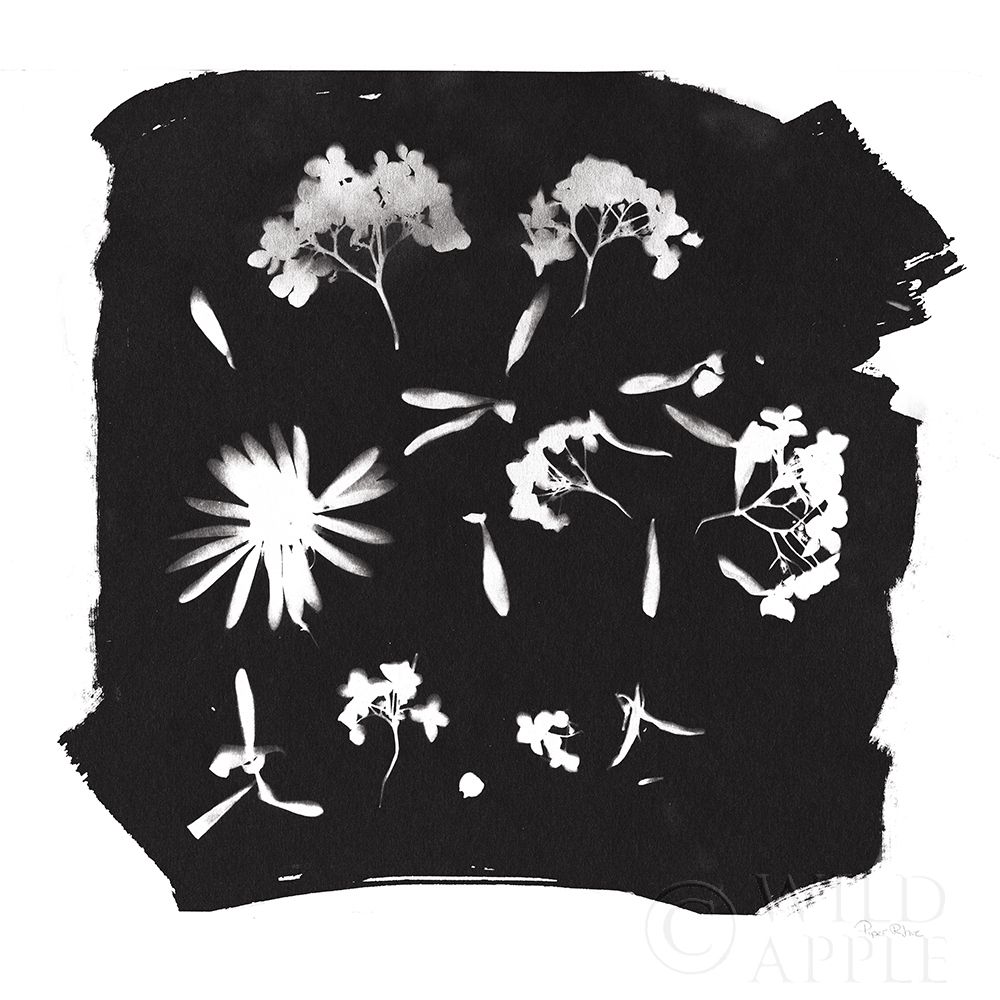 Wall Art Painting id:284033, Name: Nature by the Lake Flowers IV Black, Artist: Rhue, Piper