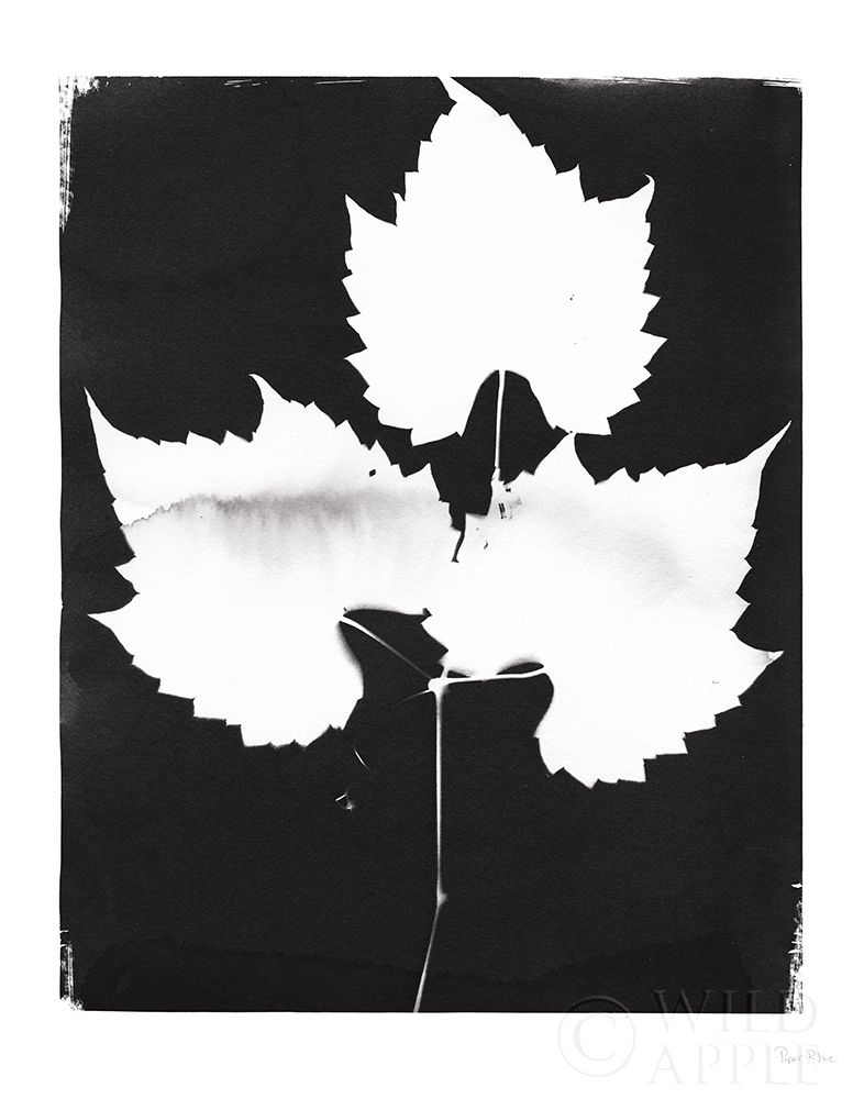 Wall Art Painting id:284015, Name: Nature by the Lake Leaves I Black, Artist: Rhue, Piper