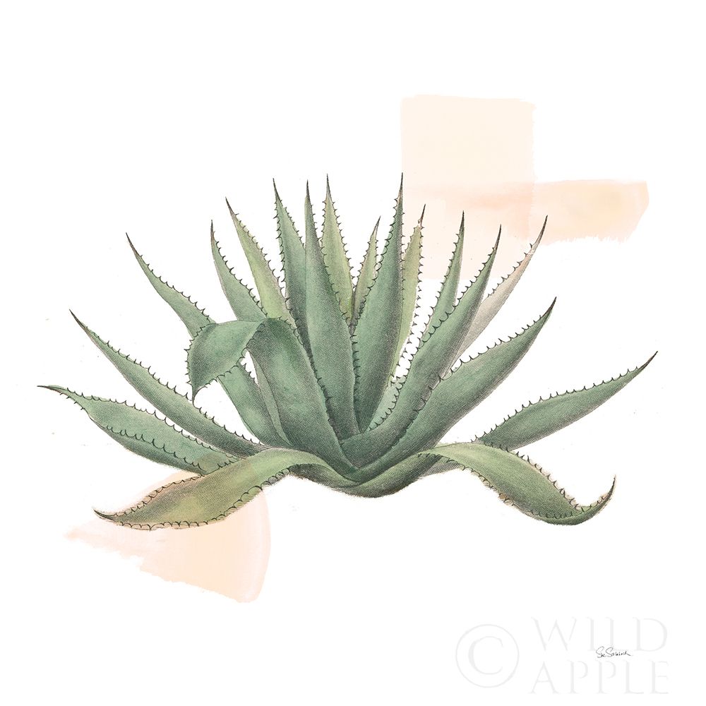 Wall Art Painting id:262118, Name: Desert Color Succulent I, Artist: Schlabach, Sue