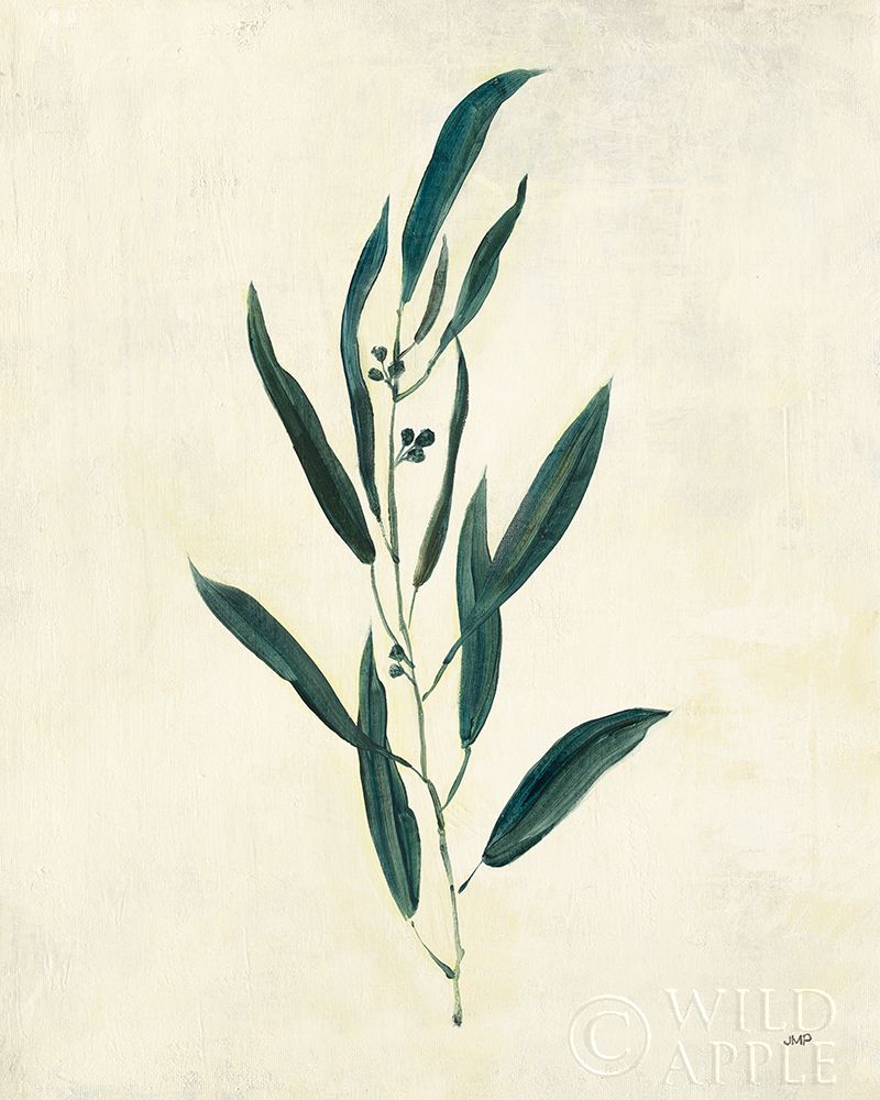 Art Print: Botanical Study V