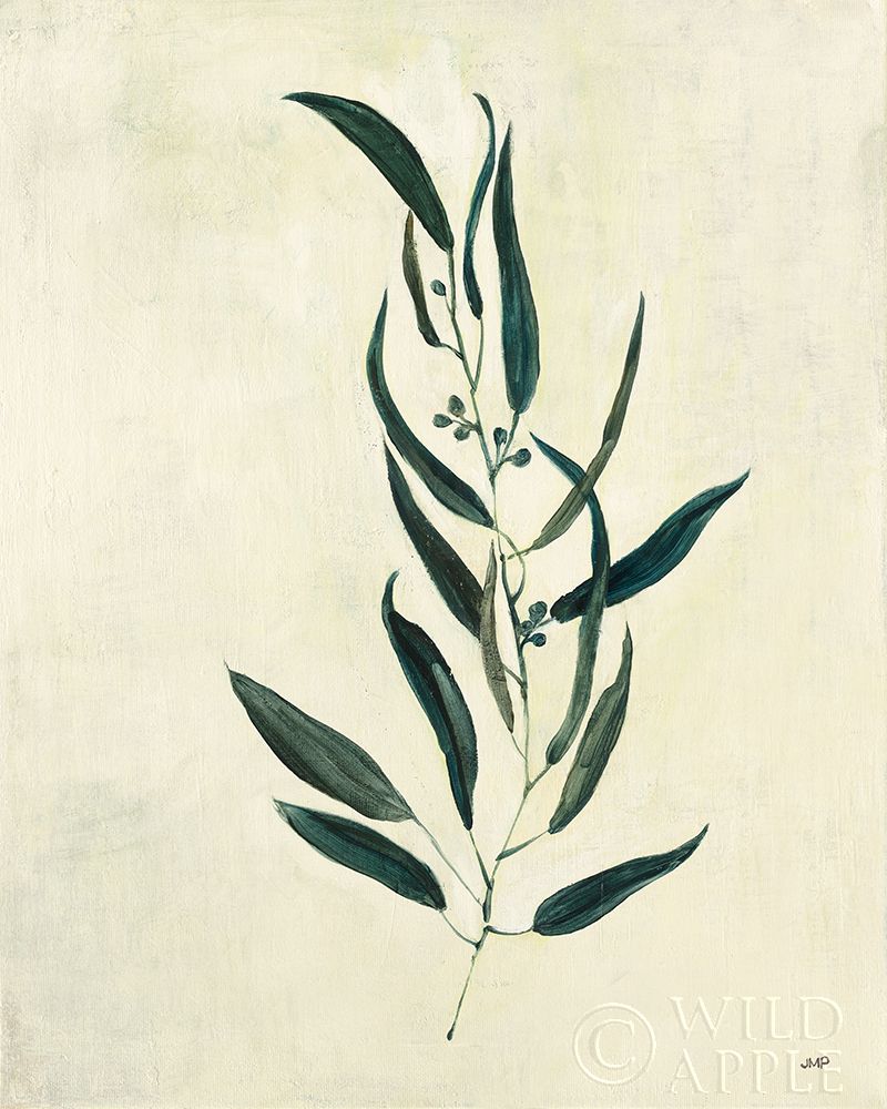 Wall Art Painting id:329494, Name: Botanical Study VI, Artist: Purinton, Julia