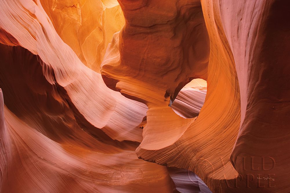 Wall Art Painting id:281884, Name: Lower Antelope Canyon II, Artist: Majchrowicz, Alan