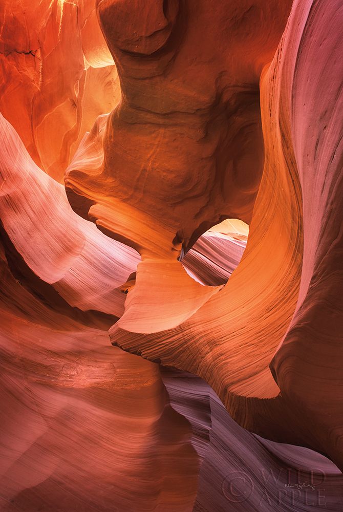 Wall Art Painting id:281879, Name: Lower Antelope Canyon IX, Artist: Majchrowicz, Alan