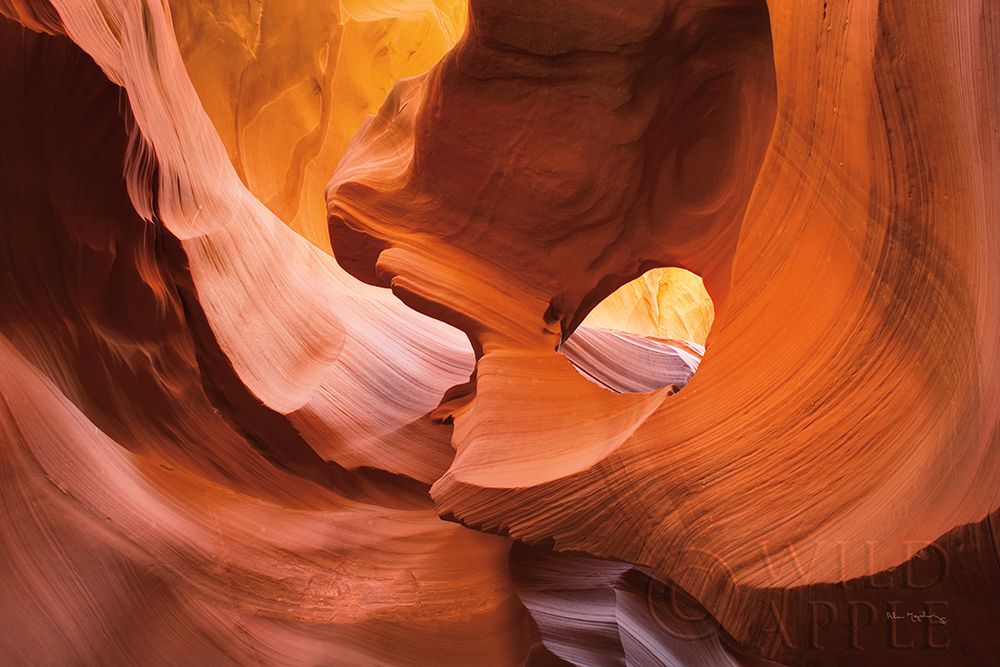 Wall Art Painting id:281878, Name: Lower Antelope Canyon X, Artist: Majchrowicz, Alan