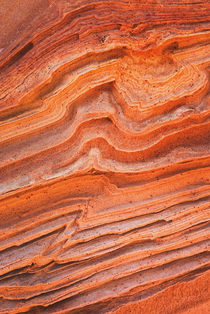 Wall Art Painting id:264993, Name: Coyote Buttes IV, Artist: Majchrowicz, Alan