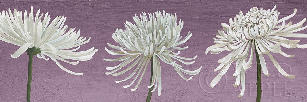 Wall Art Painting id:304831, Name: Morning Chrysanthemums V Lavender, Artist: Lovell, Kathrine