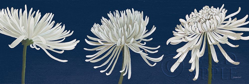 Wall Art Painting id:277884, Name: Morning Chrysanthemums V Dark Blue, Artist: Lovell, Kathrine