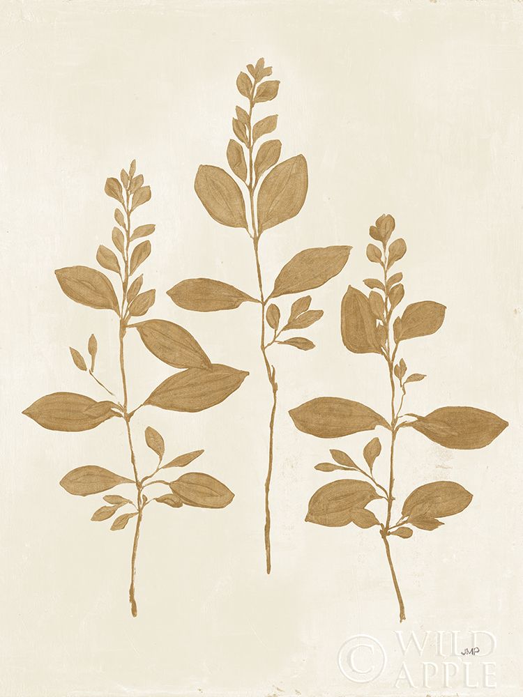 Wall Art Painting id:298254, Name: Botanical Study IV Gold Crop, Artist: Purinton, Julia