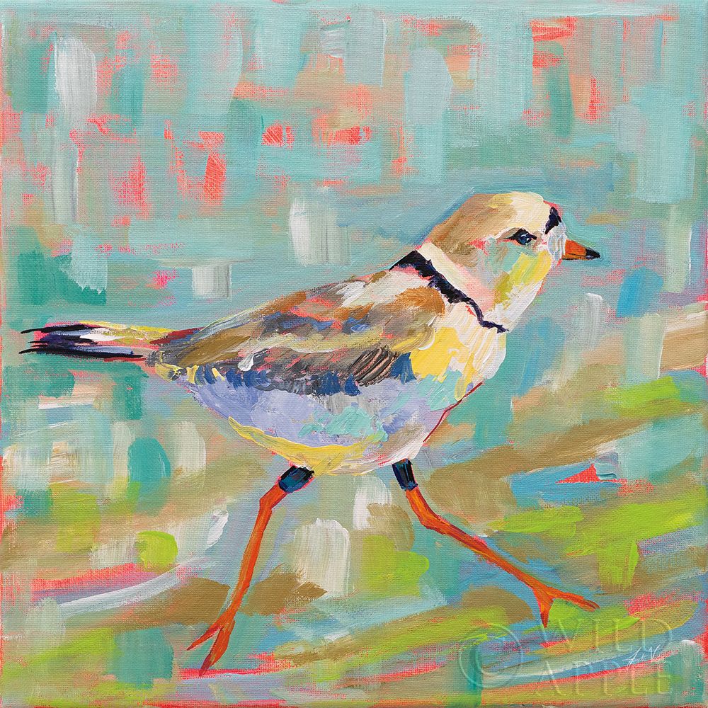 Wall Art Painting id:283648, Name: Coastal Plover I, Artist: Vertentes, Jeanette