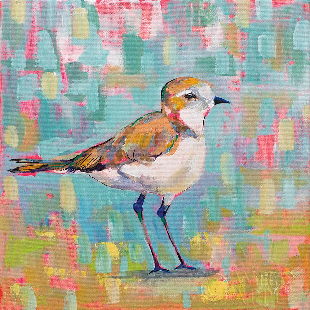 Wall Art Painting id:283646, Name: Coastal Plover III, Artist: Vertentes, Jeanette