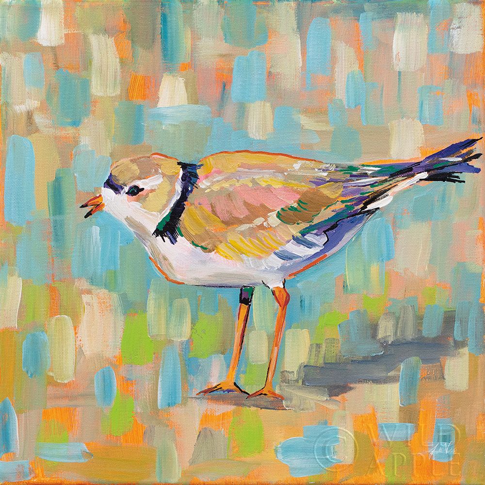 Wall Art Painting id:283645, Name: Coastal Plover IV, Artist: Vertentes, Jeanette