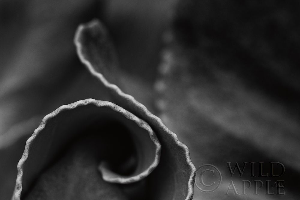 Similar wall art painting: 298215