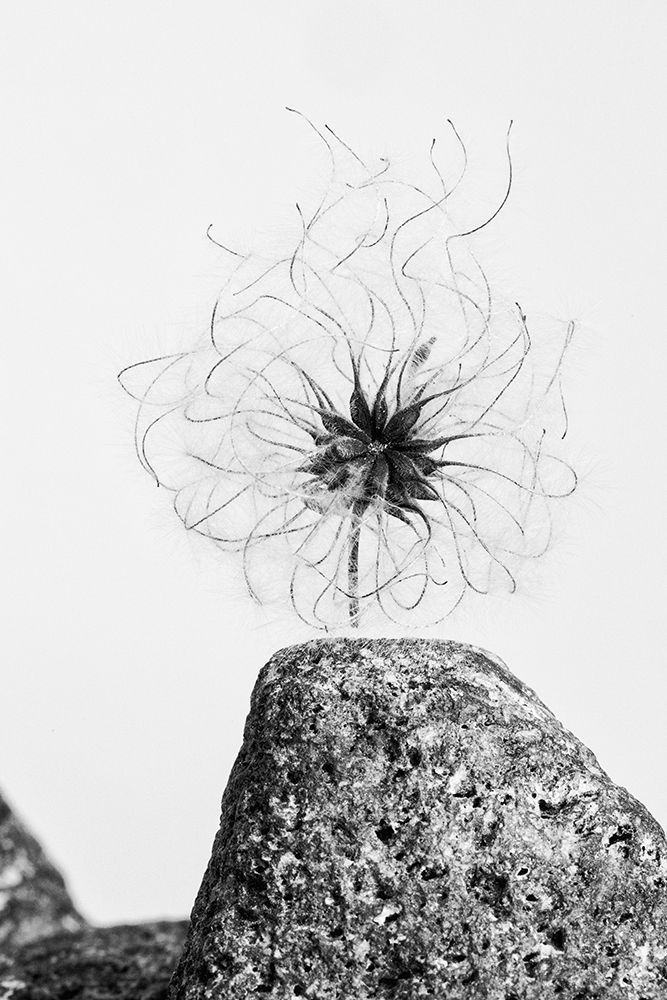 Similar wall art painting: 283844