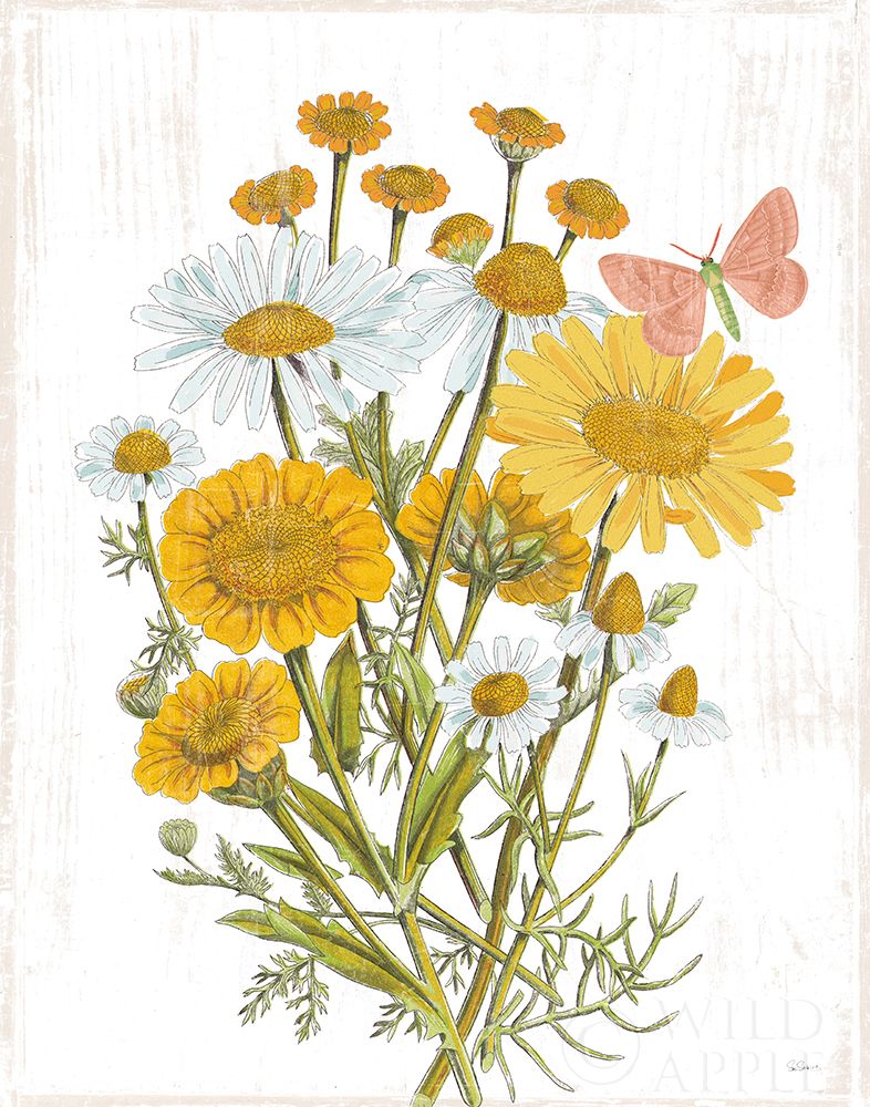Wall Art Painting id:308606, Name: White Barn Flowers X, Artist: Schlabach, Sue