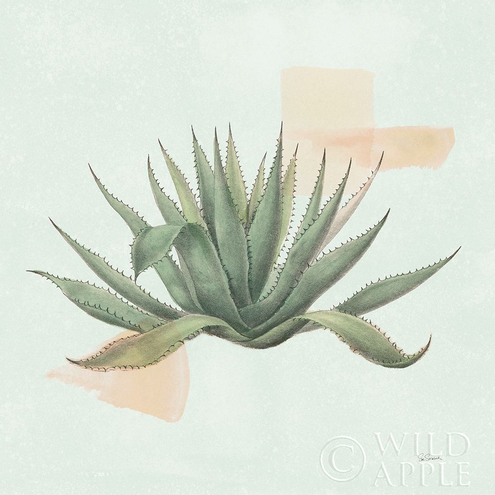 Wall Art Painting id:311614, Name: Desert Color Succulent I Mint, Artist: Schlabach, Sue