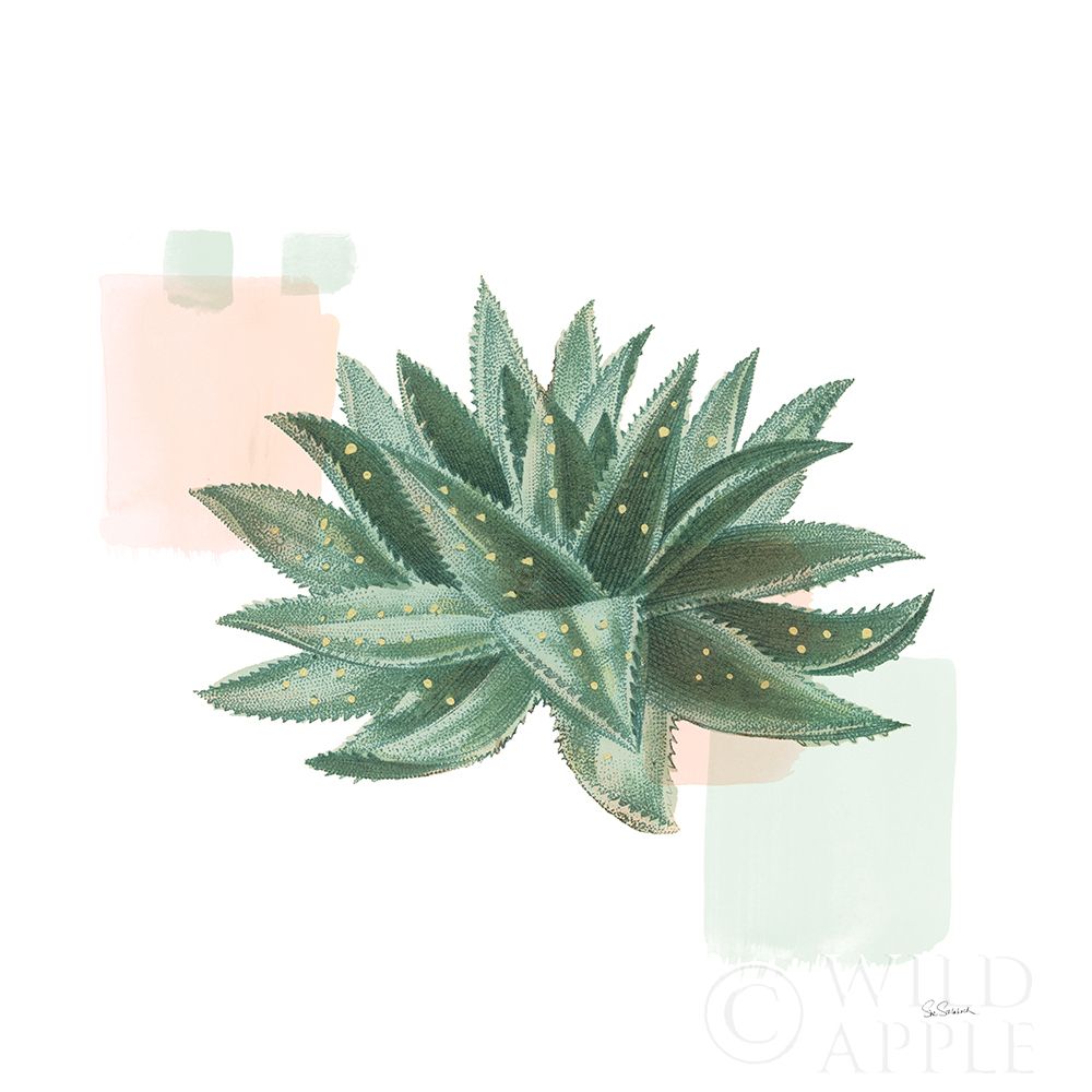 Wall Art Painting id:311615, Name: Desert Color Succulent II Mint, Artist: Schlabach, Sue