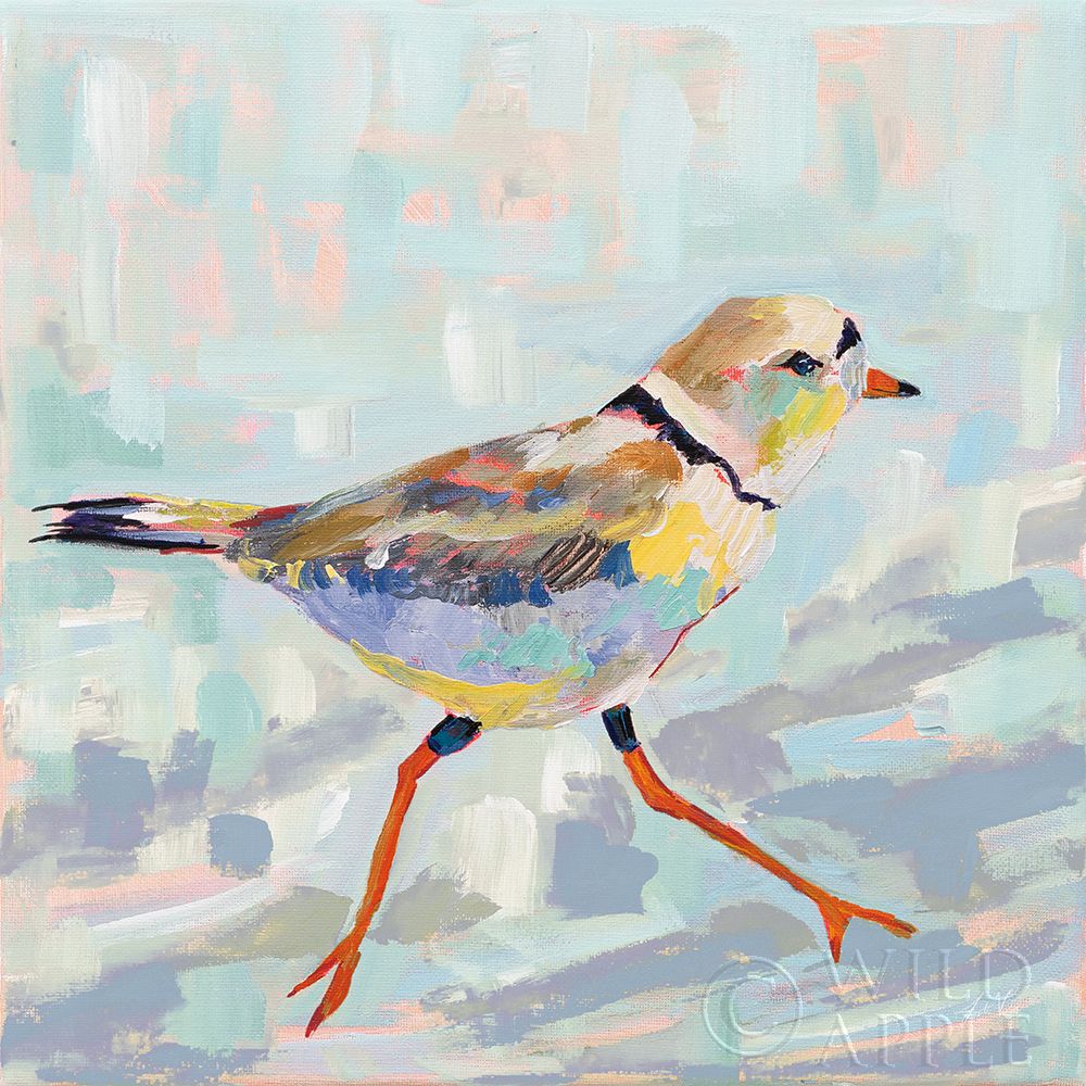 Wall Art Painting id:364578, Name: Coastal Plover I Neutral, Artist: Vertentes, Jeanette