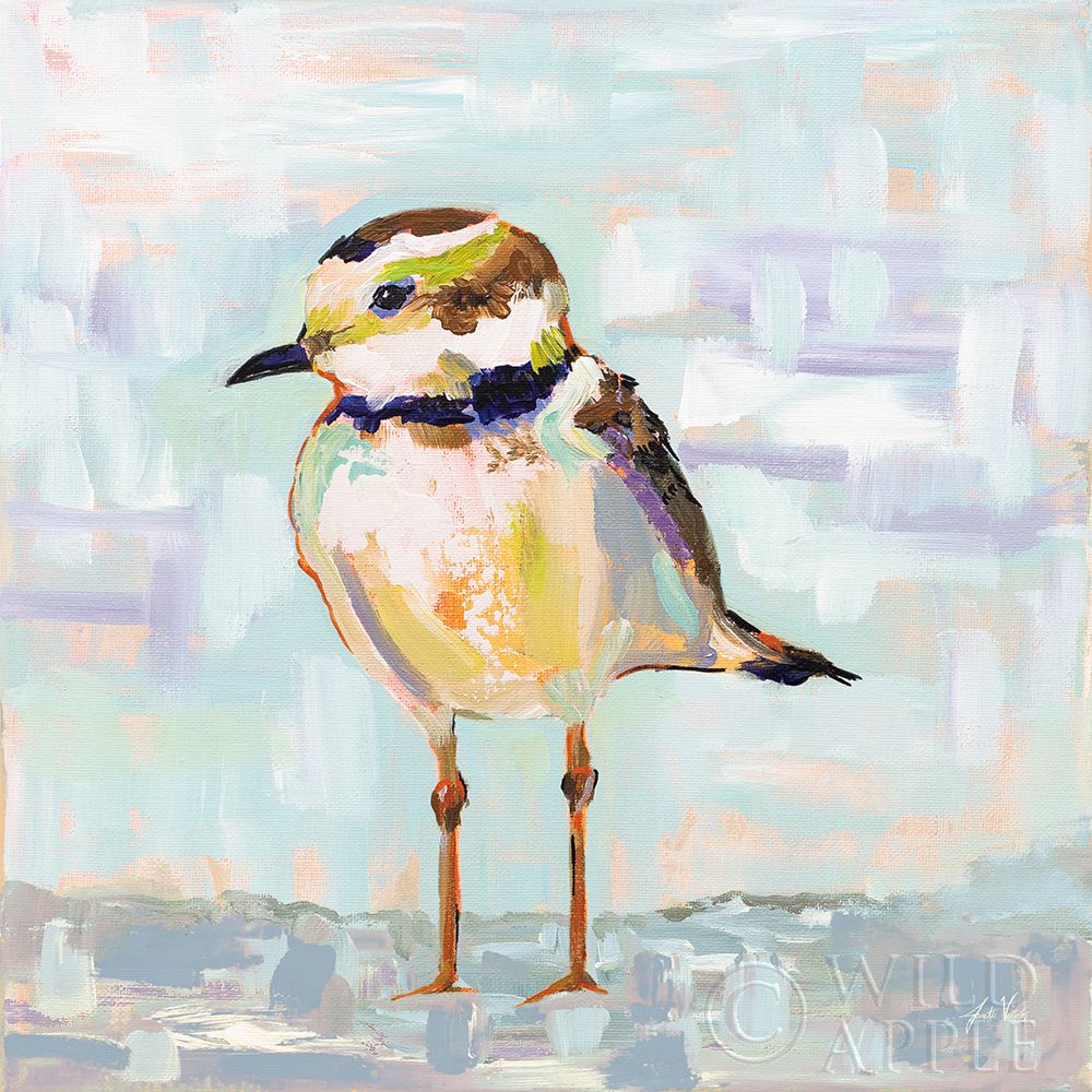 Wall Art Painting id:364577, Name: Coastal Plover II Neutral, Artist: Vertentes, Jeanette