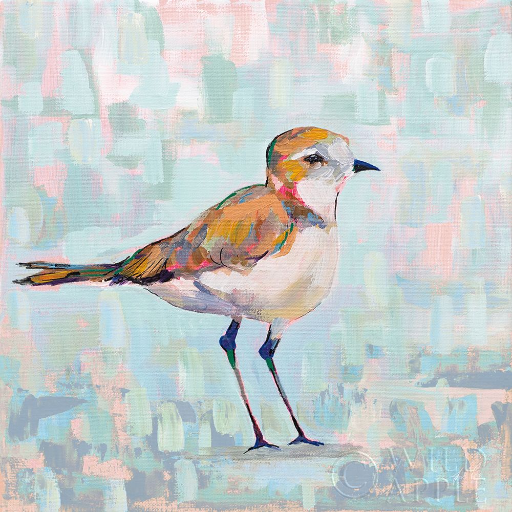 Wall Art Painting id:384528, Name: Coastal Plover III Neutral, Artist: Vertentes, Jeanette