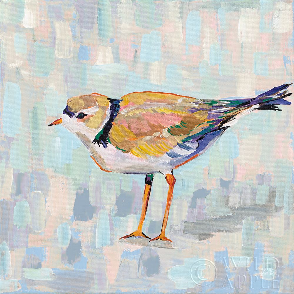 Wall Art Painting id:384527, Name: Coastal Plover IV v2 Neutral, Artist: Vertentes, Jeanette