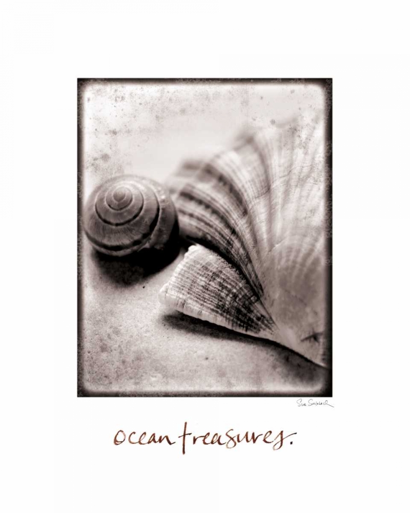 Wall Art Painting id:17825, Name: Ocean Treasures, Artist: Schlabach, Sue