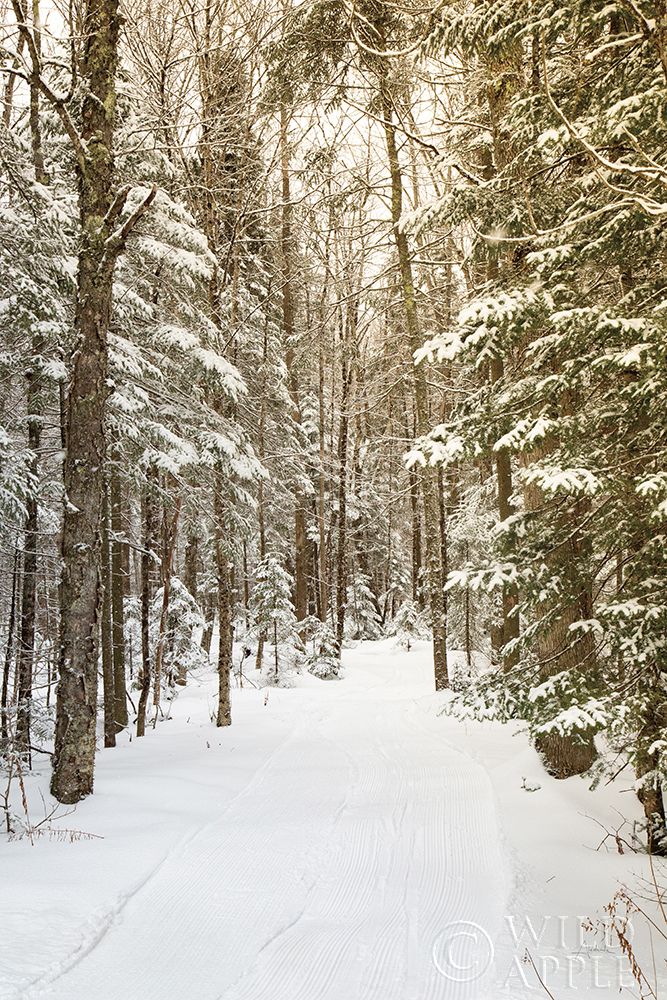 Similar wall art painting: 329759