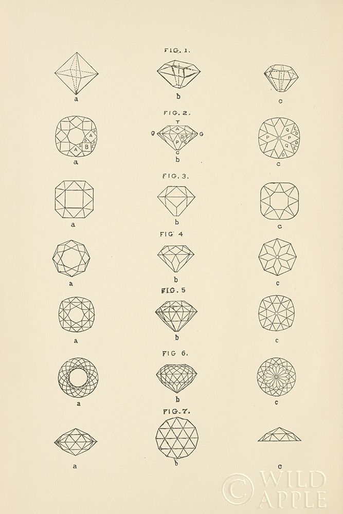 Art Print: Precious Stones II