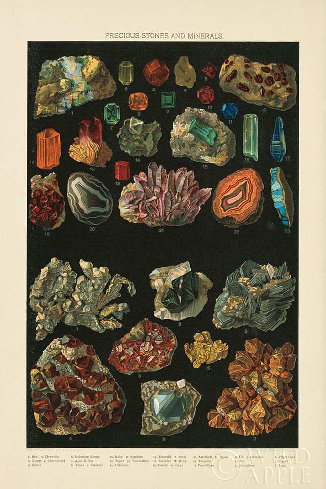 Art Print: Precious Stones III