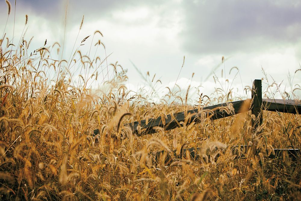 Similar wall art painting: 413900