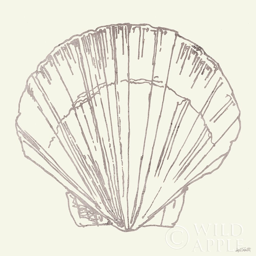 Wall Art Painting id:357358, Name: Coastal Breeze Shell Sketches V Silver, Artist: Tavoletti, Anne