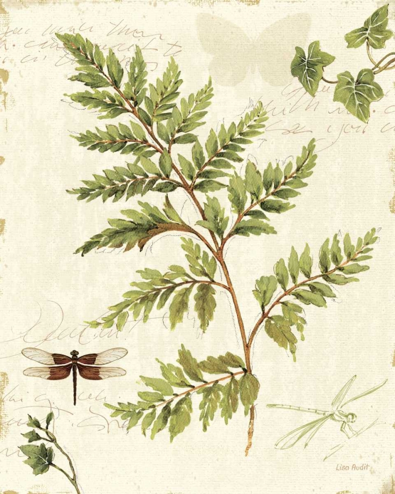 Wall Art Painting id:18304, Name: Ivies and Ferns I, Artist: Audit, Lisa