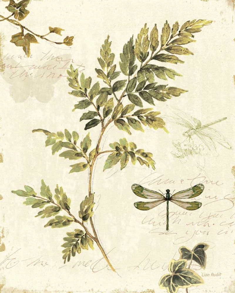 Wall Art Painting id:18306, Name: Ivies and Ferns III, Artist: Audit, Lisa