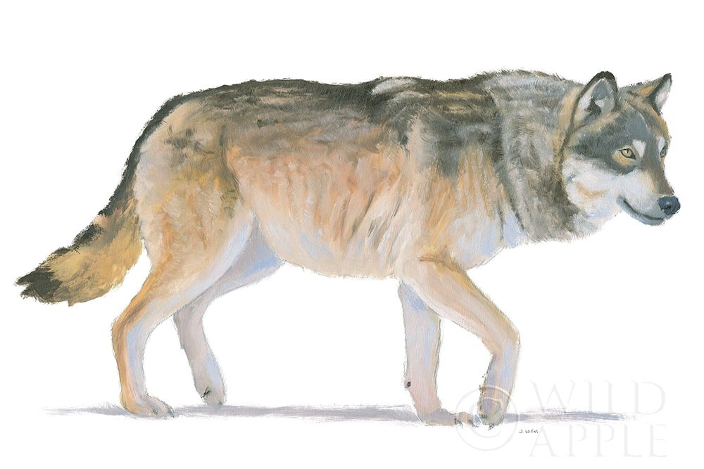 Wall Art Painting id:384442, Name: Northern Wild II, Artist: Wiens, James