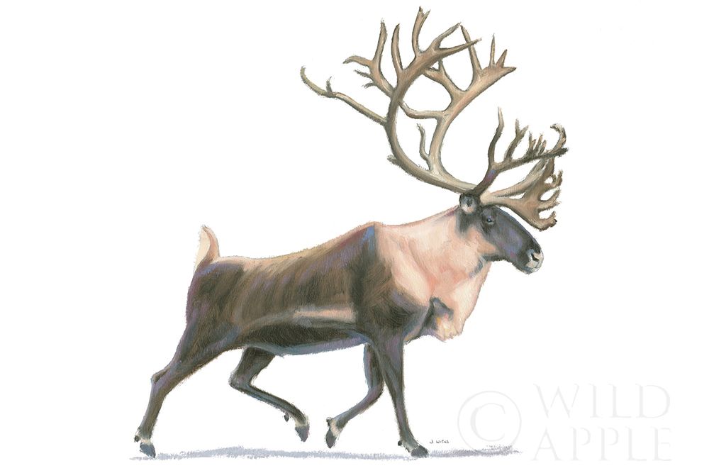 Wall Art Painting id:384444, Name: Northern Wild IV, Artist: Wiens, James