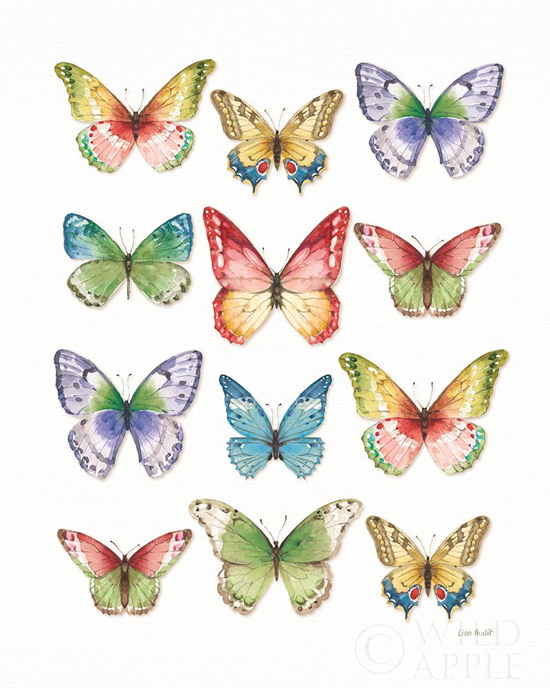 Wall Art Painting id:396680, Name: Colorful Breeze Butterflies, Artist: Audit, Lisa
