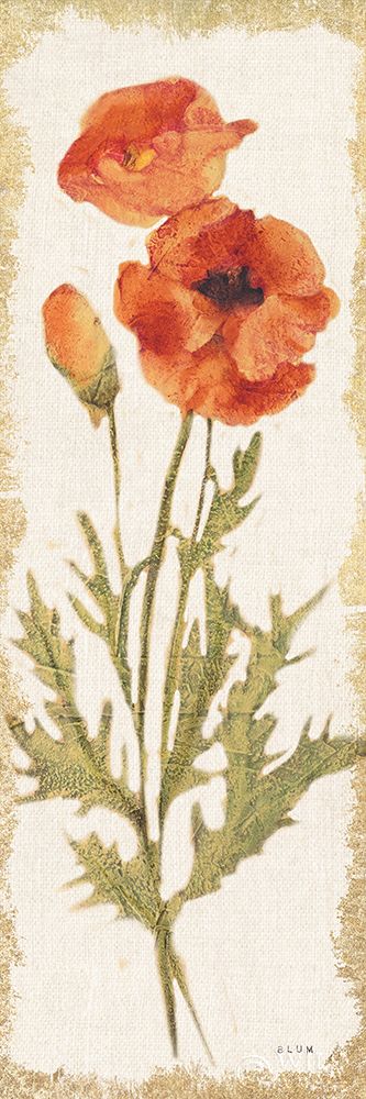 Wall Art Painting id:414078, Name: Poppy Panel Light, Artist: Blum, Cheri