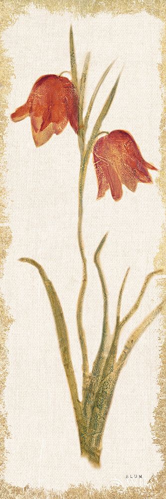 Wall Art Painting id:414080, Name: Red Tulip Panel Light, Artist: Blum, Cheri