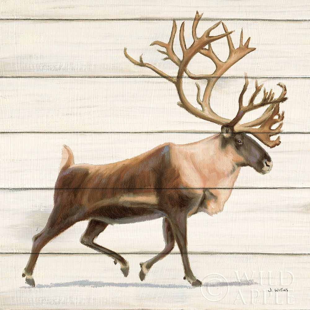 Wall Art Painting id:396556, Name: Northern Wild IV on Wood, Artist: Wiens, James