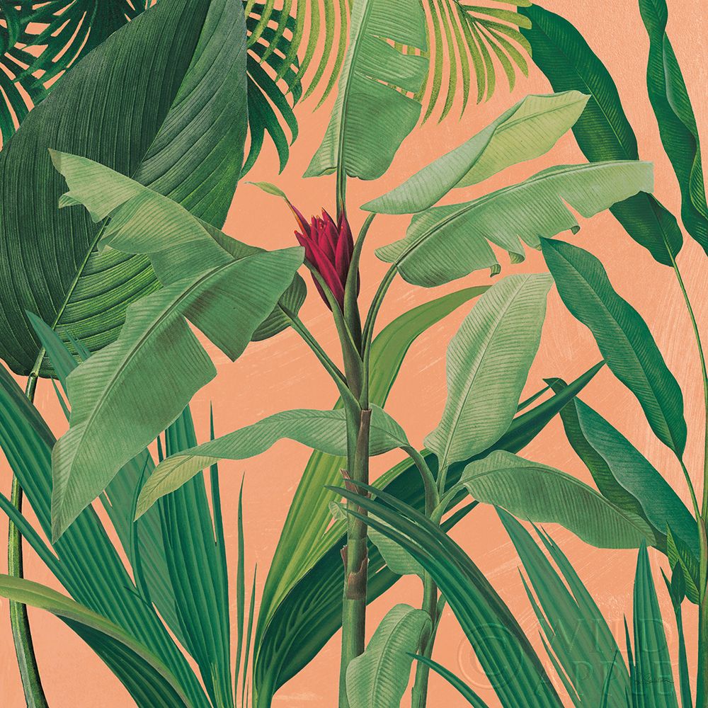 Wall Art Painting id:396476, Name: Dramatic Tropical I Boho, Artist: Schlabach, Sue