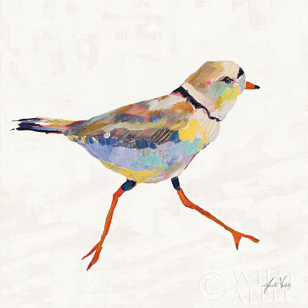 Wall Art Painting id:424152, Name: Coastal Plover I Linen, Artist: Vertentes, Jeanette