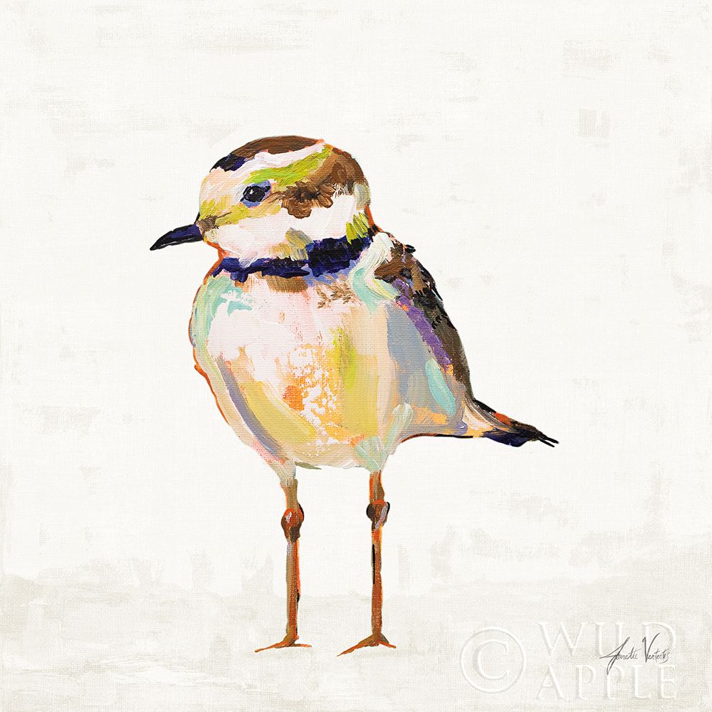 Wall Art Painting id:424151, Name: Coastal Plover II Linen, Artist: Vertentes, Jeanette