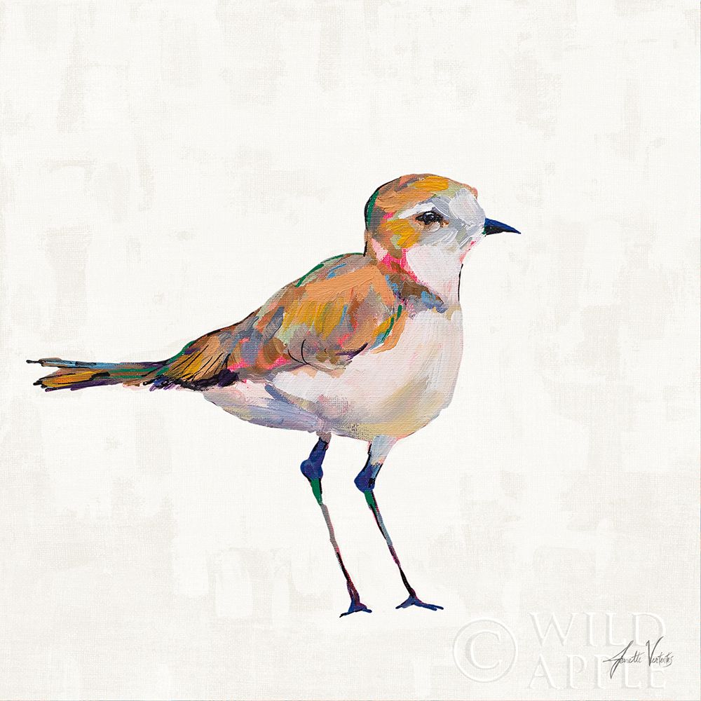 Wall Art Painting id:424150, Name: Coastal Plover III Linen, Artist: Vertentes, Jeanette