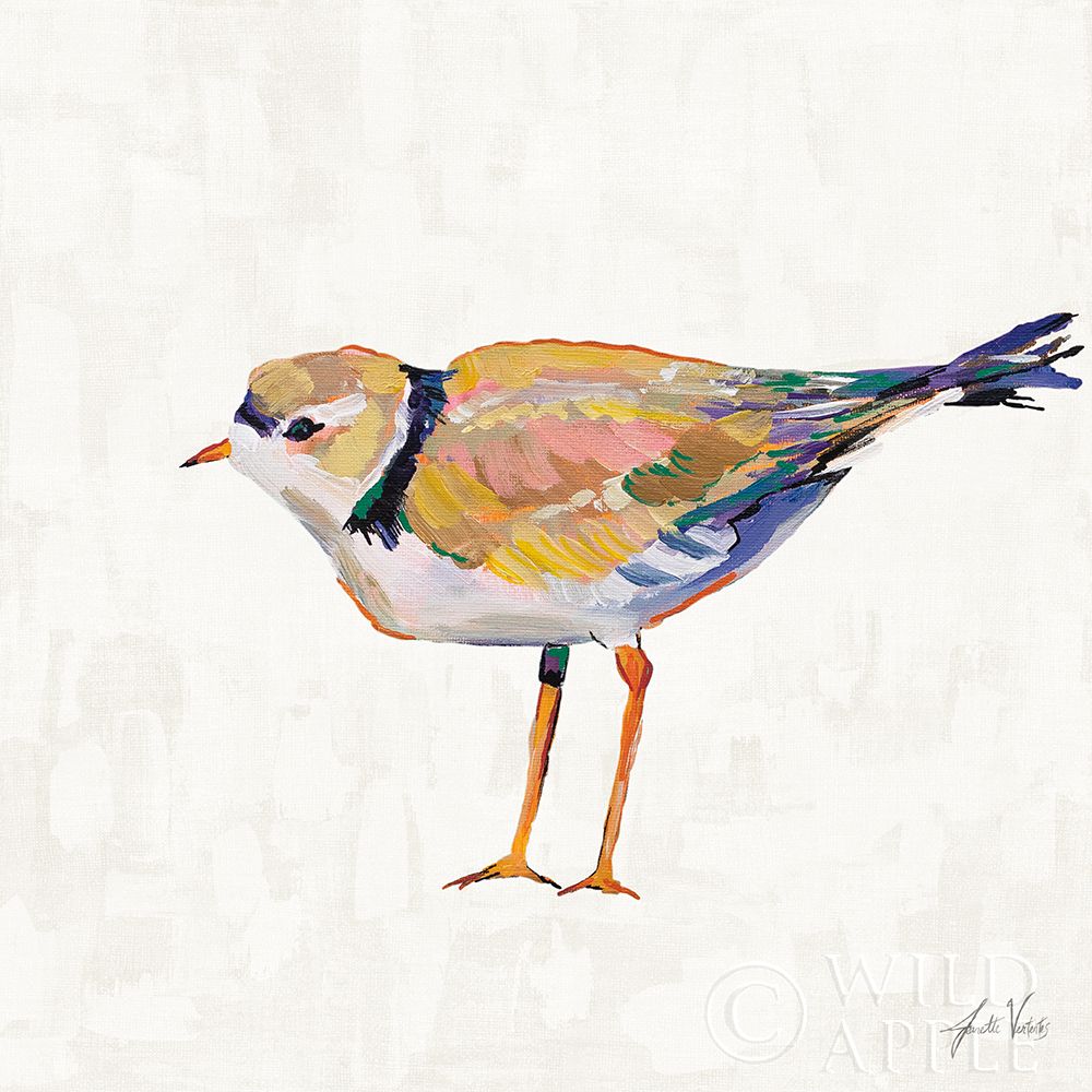 Wall Art Painting id:424149, Name: Coastal Plover IV Linen, Artist: Vertentes, Jeanette