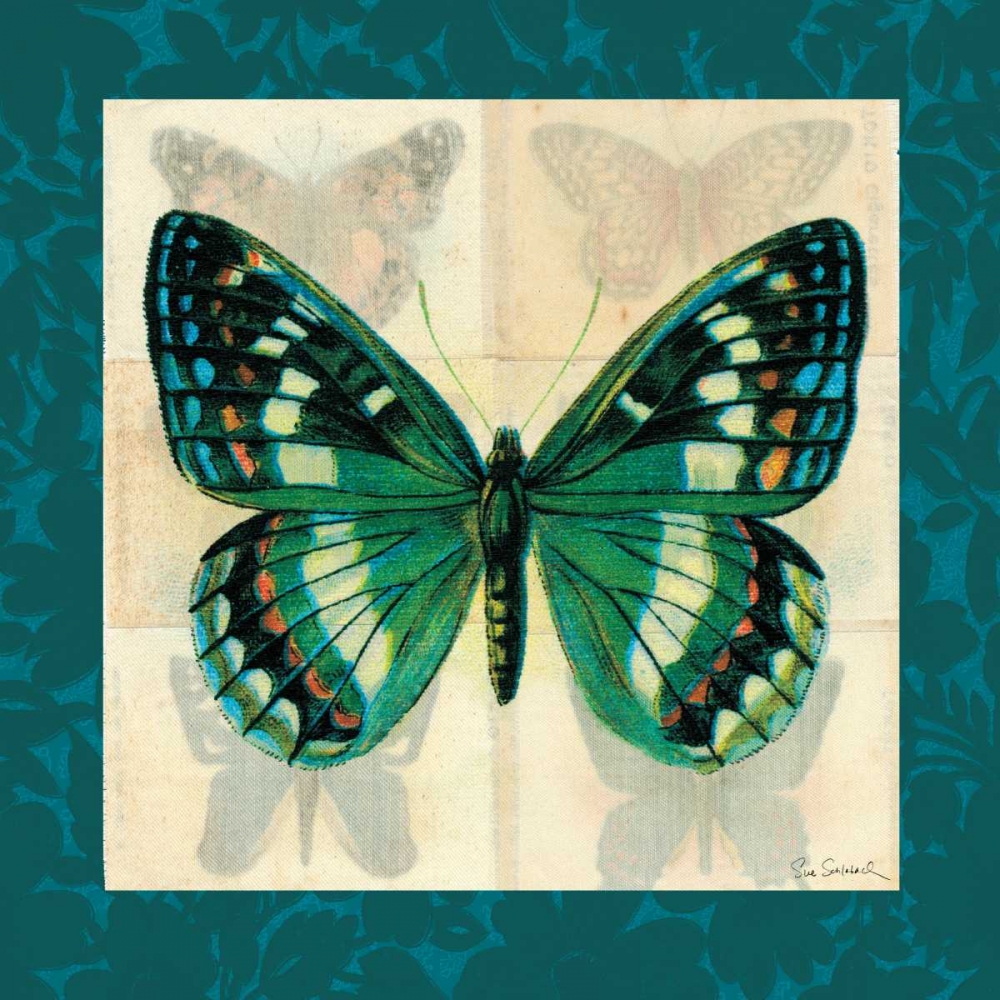 Wall Art Painting id:34021, Name: Silk Butterfly II, Artist: Schlabach, Sue
