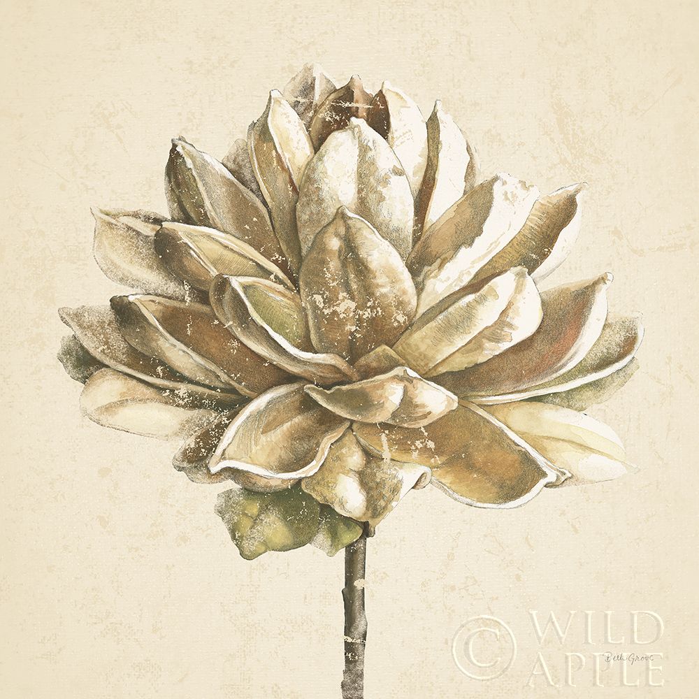 Wall Art Painting id:431535, Name: Seed Pod I No Words Cream, Artist: Grove, Beth