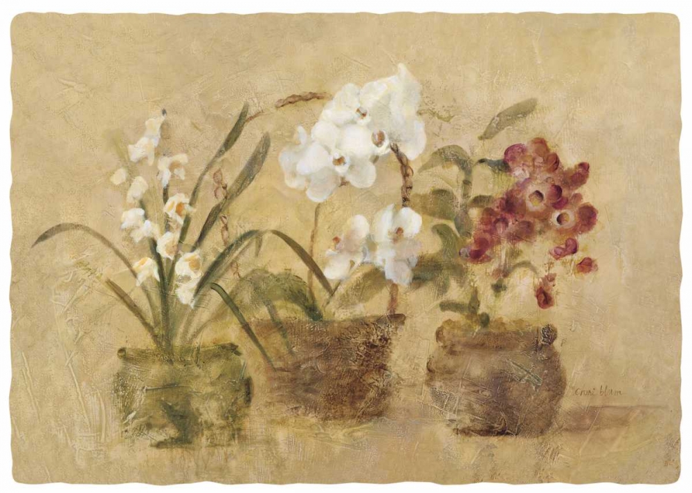 Wall Art Painting id:156302, Name: Collection of Orchids-48x35.5, Artist: Blum, Cheri