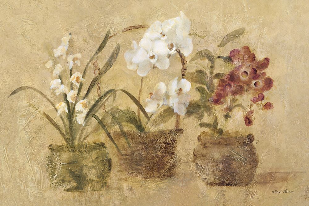 Wall Art Painting id:633583, Name: Collection of Orchids, Artist: Blum, Cheri